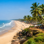 Top 10 Things to Do in Goa for First-Time Visitors in 2026 featuring Goa beaches, palm trees, and the Arabian Sea.